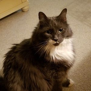 Meet your Posher, Christine